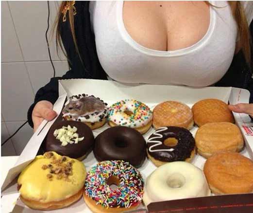 donut21.jpg