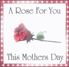 a rose for you mothers day