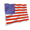 american flag 100h