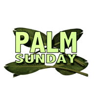 an_palm sunday