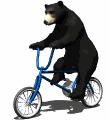 bicycle bear