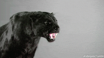 black-panther-roar
