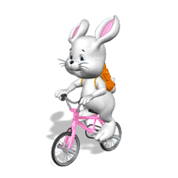 bunny on bicycle