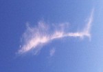 cloud-sailfish