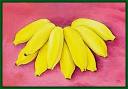 cuban bananas4