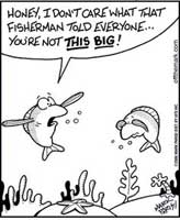 fish-lie