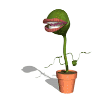 mouth plant