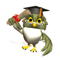 owl diploma