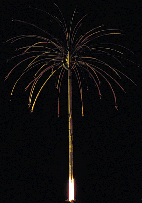 palm fireworks