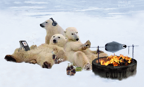 polar bear party