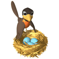 robin nest eggs