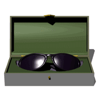 sunglasses in box