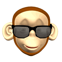 sunglasses monkey wink an