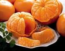tangerines19