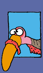 thanksgiving turkey gobble